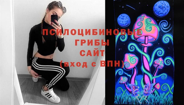 гидра Алзамай