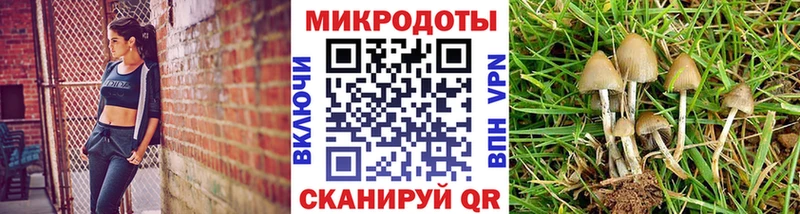 мега онион  Симферополь  Псилоцибиновые грибы мухоморы 